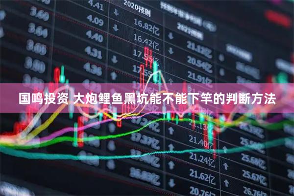 国鸣投资 大炮鲤鱼黑坑能不能下竿的判断方法