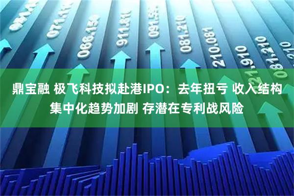 鼎宝融 极飞科技拟赴港IPO：去年扭亏 收入结构集中化趋势加剧 存潜在专利战风险
