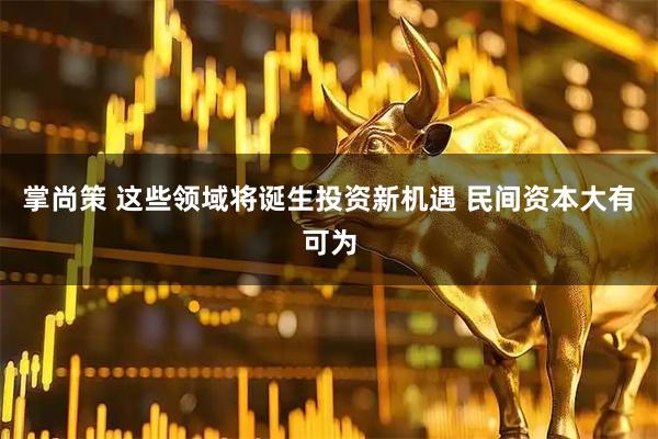 掌尚策 这些领域将诞生投资新机遇 民间资本大有可为